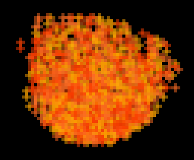 File:Fire.png.png