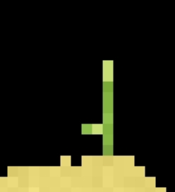 File:A cactus on top of sand.jpg